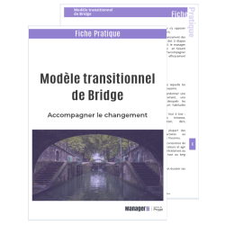 Modèle transitionnel de Bridge : fiche pratique pdf à télécharger